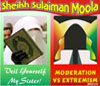 Veil Yourself My Sister / Moderation vs Extremism